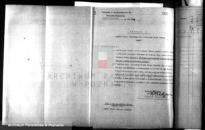 Obraz 8 z jednostki "Sprawozdanie roczne za 1935 rok /komisarzy ochrony lasów/"