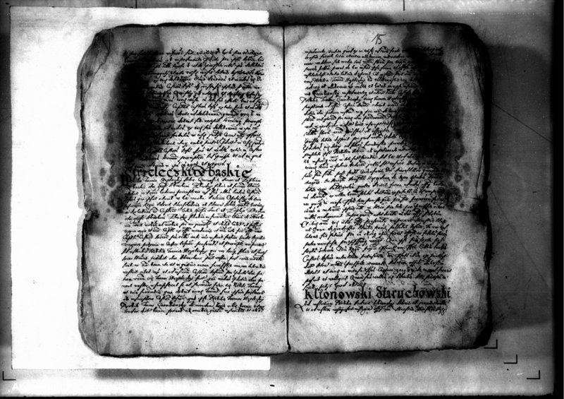 Obraz 19 z jednostki "Decreta officii [inducta]"