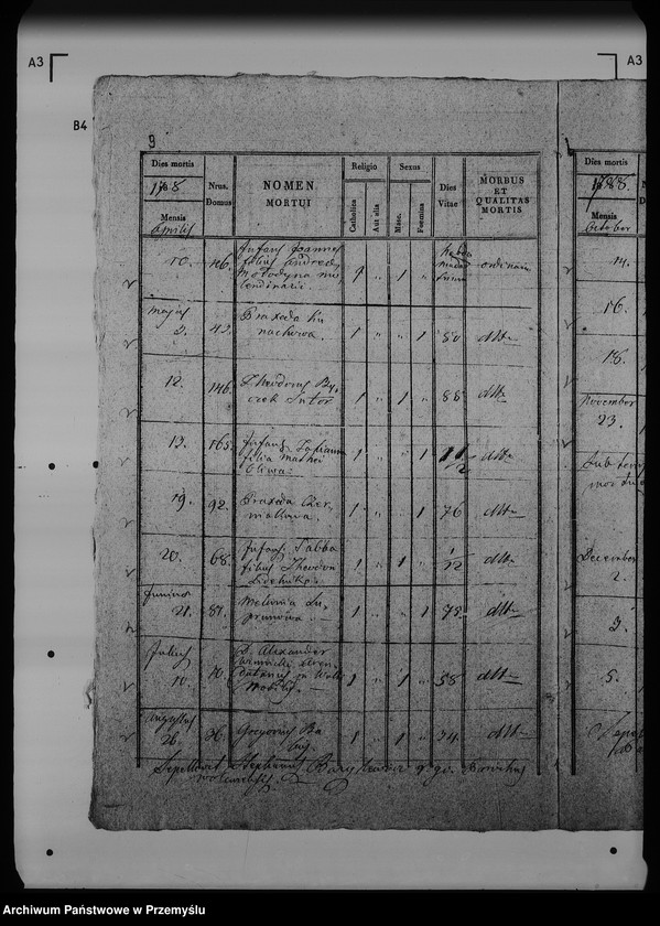 Obraz 14 z jednostki "[Kopie ksiąg metrykalnych parafii Wólka Mazowiecka (dekanat Rawa Ruska)]"