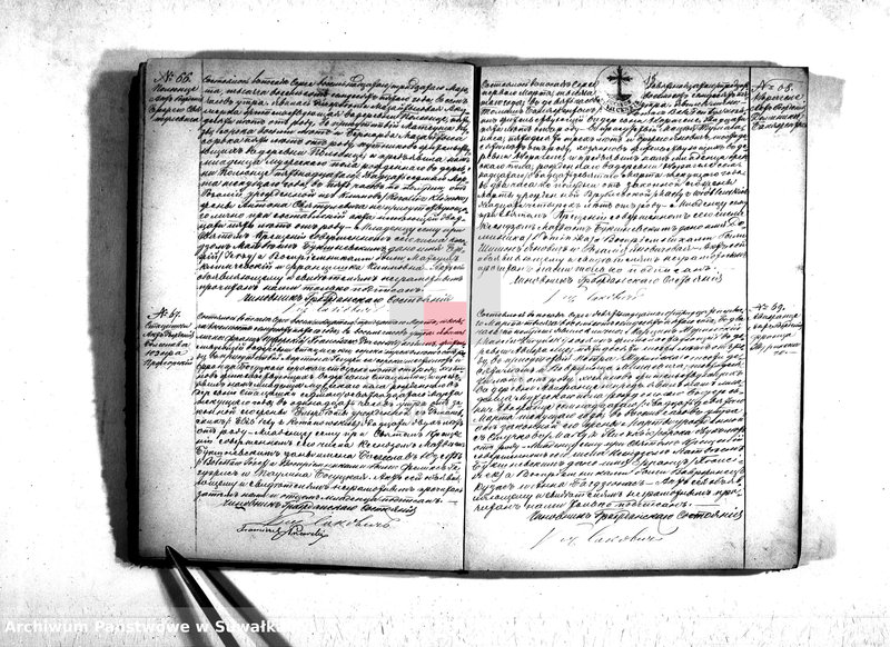 Obraz 20 z jednostki "Duplikat serejskago prichoda na 1875 god"