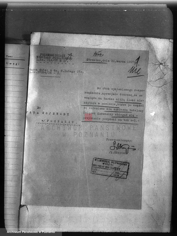 Obraz 5 z jednostki "Zalesienie nieużytków w powiecie mogileńskim"