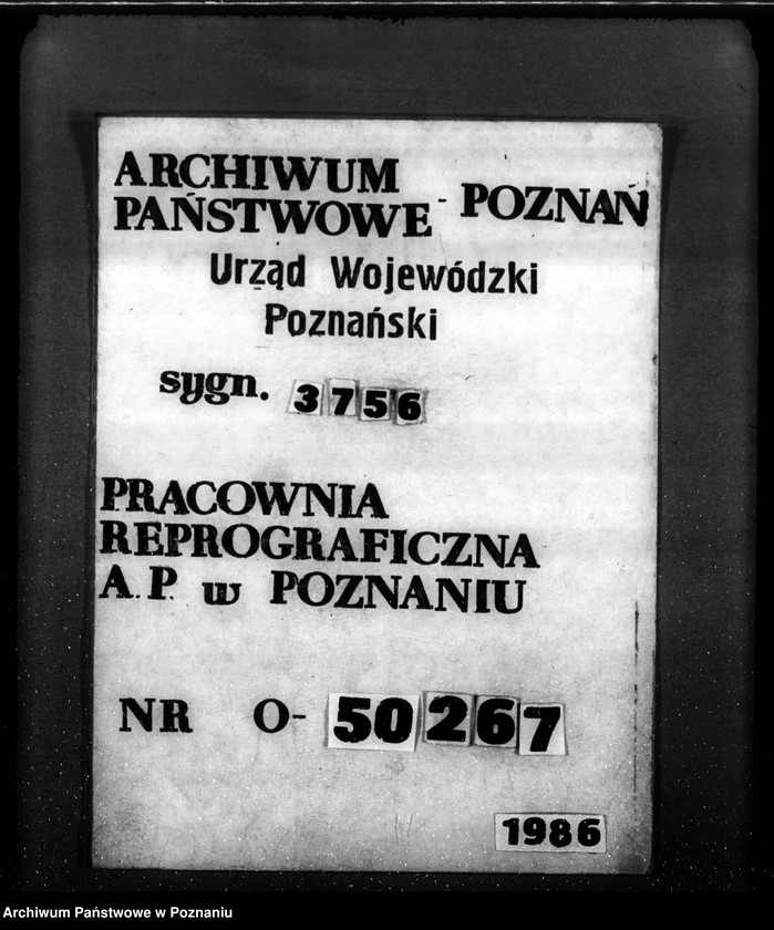 Obraz 13 z jednostki "Program urządzenia gospodarstwa leśnego dla lasu Michała Strojnego w gminie Gołuski powiat poznański 1929-1939"