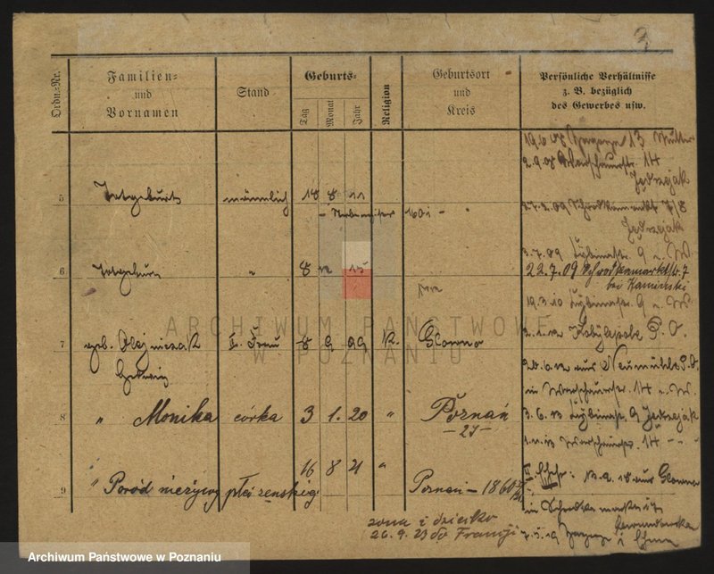 Obraz 3 z jednostki "Kamiński (żony, wdowy i samotni mężczyźni)"