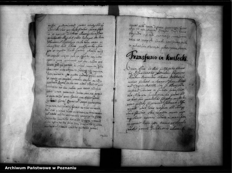 Obraz 8 z jednostki "Inscriptiones [inducta]"