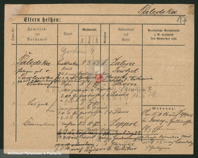 Obraz 17 z jednostki "Palecek - Paluszewski"