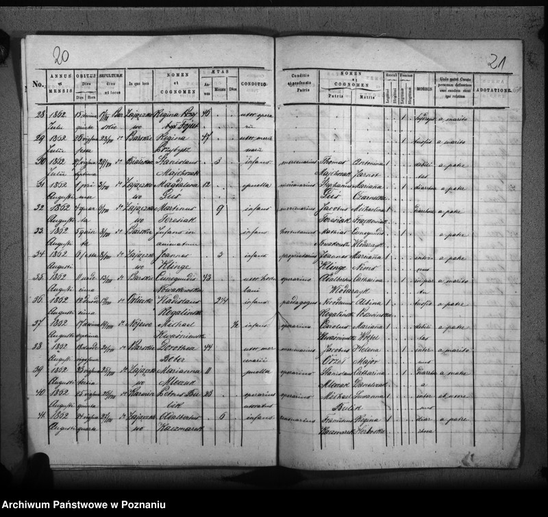 Obraz 14 z jednostki "Duplicat baptisatorum, copulatorum, mortuorum"
