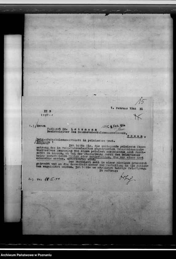 Obraz 19 z jednostki "Tuberkulose"