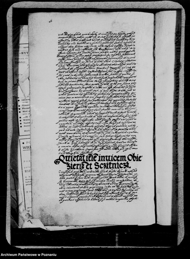 Obraz 5 z jednostki "Inscriptiones, relationes, decreta [inducta]"