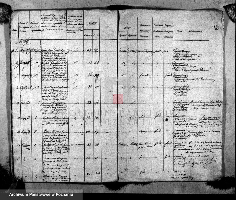 image.from.unit.number "Metrices copulatorum"