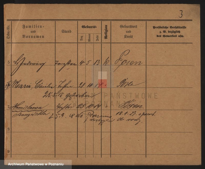 Obraz 9 z jednostki "Szczodrzyński - Szefer (żony i wdowy)"