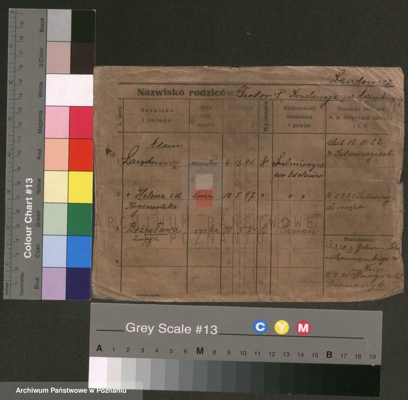 Obraz 1 z jednostki "Laudowicz - Ławnicki"