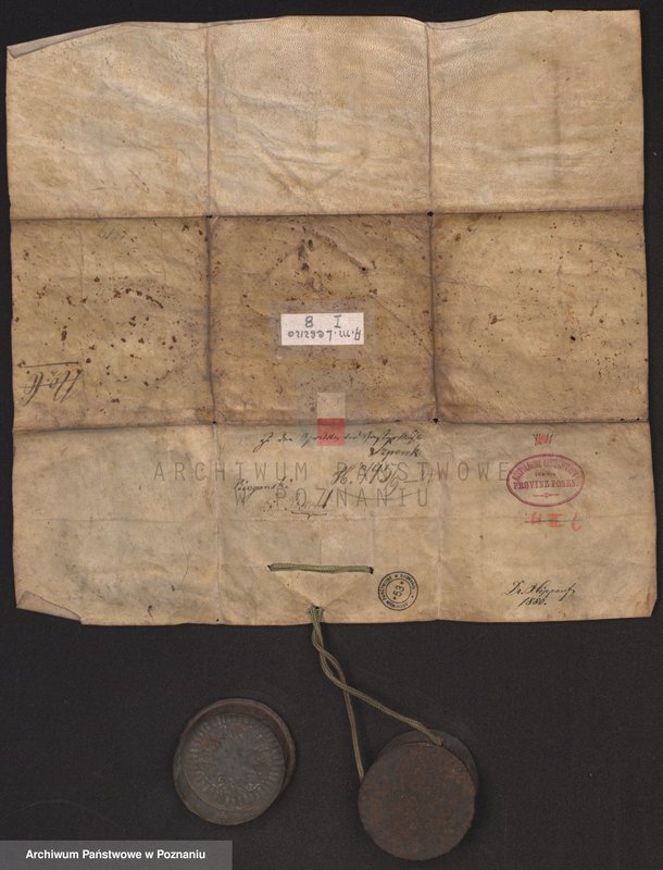 Obraz 3 z jednostki ". Bogusław na Lesznie Leszczyński, proboszcz katedralny płocki, kanonik krakowski, oznajmia, że zatwierdza Andrzejowi Młynarczykowi i jego spadkobiercom prawo do"