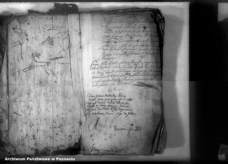 Obraz 3 z jednostki "Relationes [protocollon]"