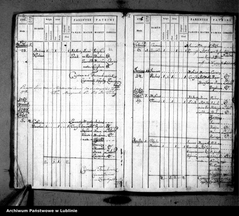 Obraz z jednostki "Liber natorum pro villa Rybnica et Paar"