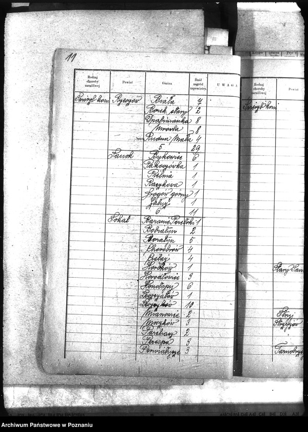 Obraz 17 z jednostki "Wykaz zaraźliwych chorób zwierzęcych Galicja"