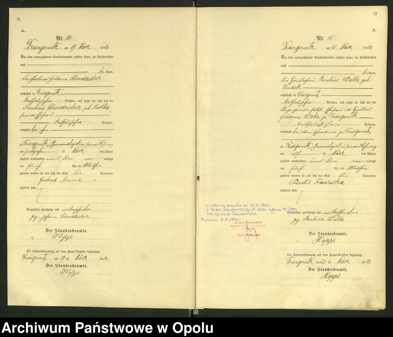 Obraz 11 z jednostki "Urząd Stanu Cywilnego Dziergowice Księga urodzeń rok 1903-05"