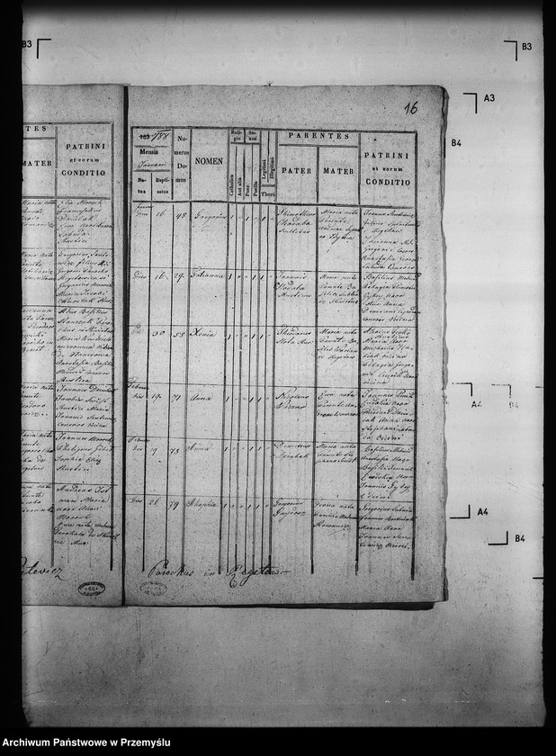 image.from.unit.number "[Kopie ksiąg metrykalnych parafii Regetów Wyżny z filiami Regetów Niżny, Skwirtne (dekanat Gorlice)]"