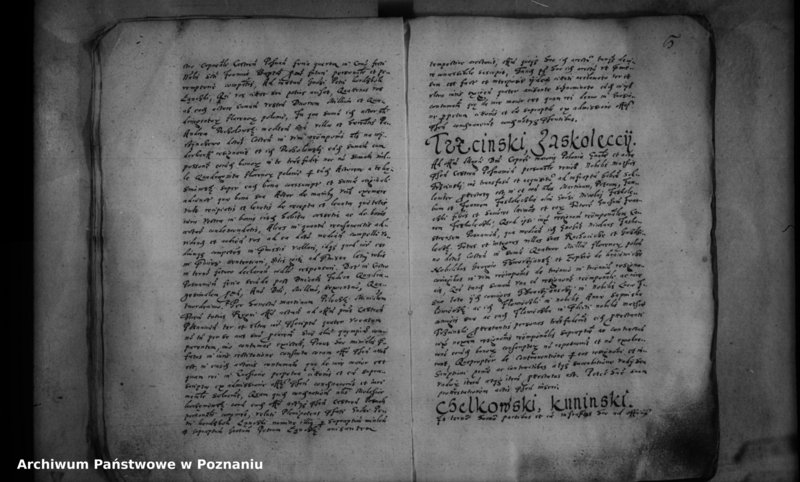 Obraz 8 z jednostki "Inscriptiones [inducta]"