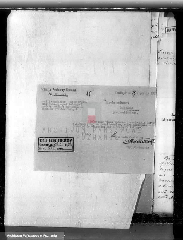 Obraz 19 z jednostki "Sprawa zmiany rodzaju użytków 5,06 ha gruntów leśnych w majątku Bogusławice /powiat koniński/ oraz zatwierdzenie projektu planu gospodarstwa leśnego"