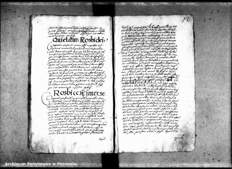 Obraz 16 z jednostki "Inscriptiones, relationes [inducta]"