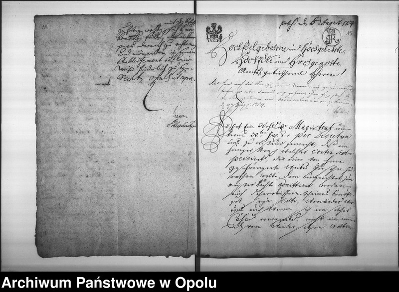 Obraz 15 z jednostki "Acta des Magistrats zu Oppeln betreffend die Legitimation unehelich erzeugter Kinder und Personen Vol. I"