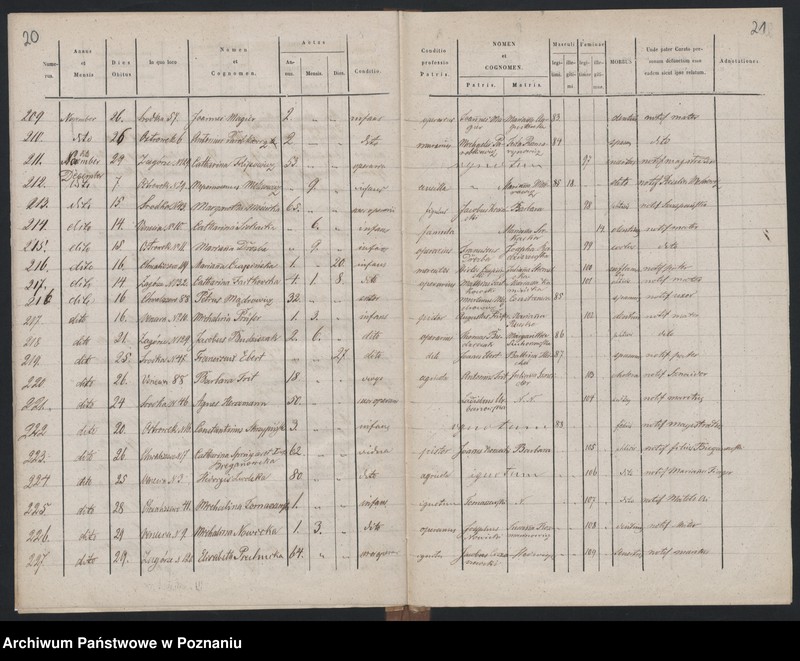 Obraz 13 z jednostki "Księga zgonów"