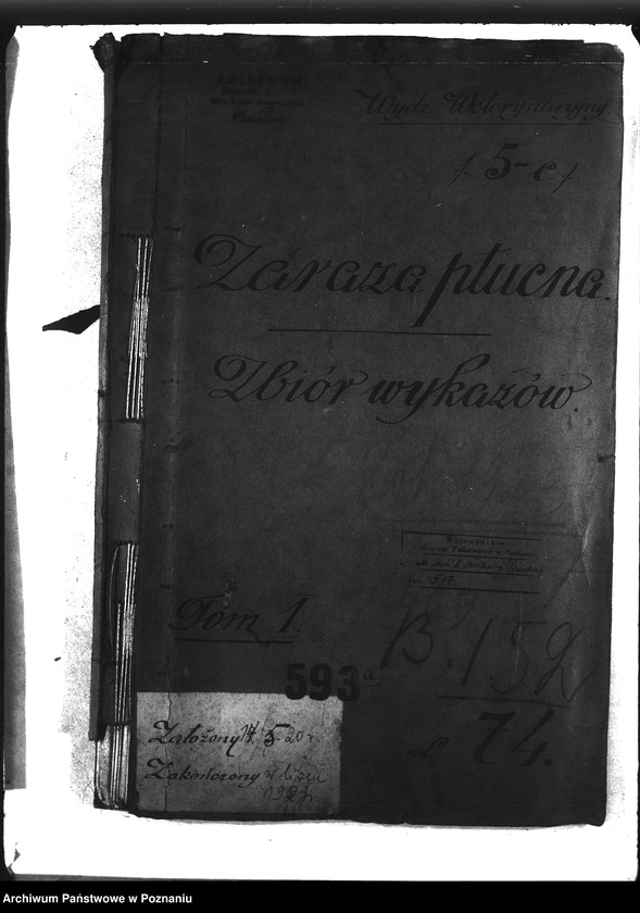 Obraz 4 z jednostki "Zaraza płucna - zbiór wykazów rok 1923"