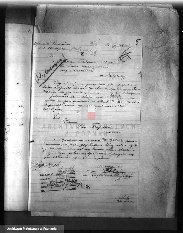 Obraz 9 z jednostki "Majętność leśna /Bronie wiec/ powiat mogileński"