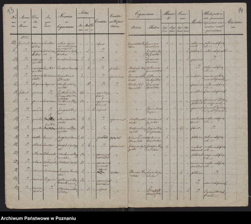 Obraz 9 z jednostki "Spis zgonów"