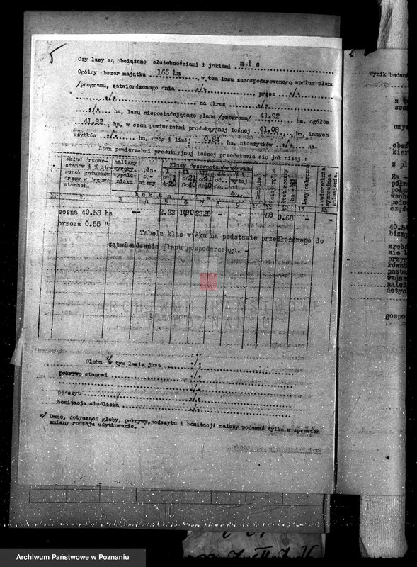 Obraz 9 z jednostki "Las majętność Śniaty powiat kościański"