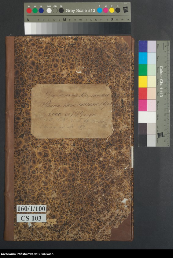 image.from.unit.number "Duplikat Lozdzejskago Rimsko- katoličeskago Prichoda s 1874 goda  [Akta urodzeń, małżeństw i zgonów]"