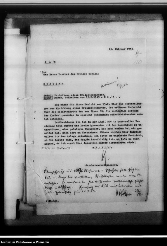 Obraz 14 z jednostki "[Korespondencja w sprawach organizacyjnych], Kreissippenamt Mogilno"