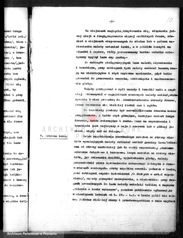 Obraz 14 z jednostki "/Nadzór nad gospodarką leśną gminy miasta Czarnkowa"