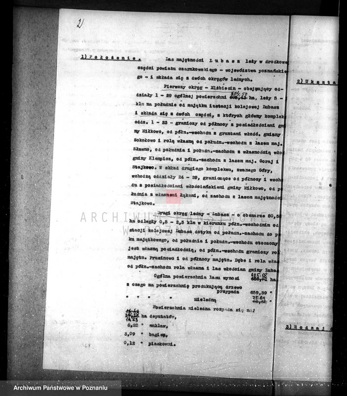 Obraz 6 z jednostki "Nadzór nad lasami/ majątku Lubasz powiatu czarnkowskiego"