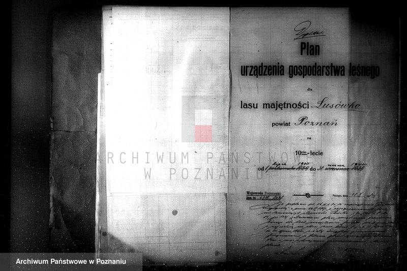 Obraz 19 z jednostki "Plan urządzenia gospodarstwa leśnego dla lasu majętności Lusówko powiat poznański 1930-1940"