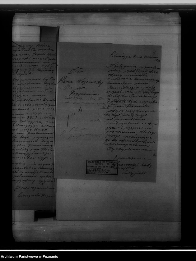 Obraz 9 z jednostki "Różności miasta Sulmierzyc"