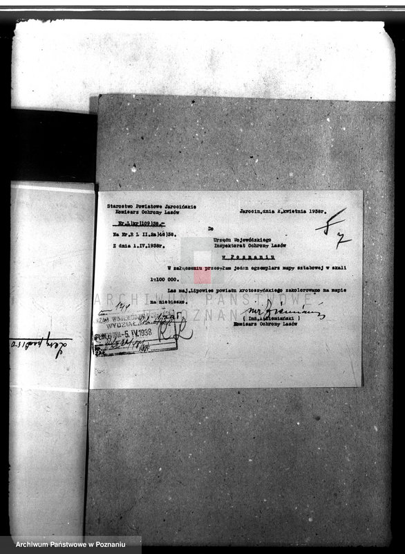 Obraz 12 z jednostki "Las majątku Lipowiec powiat krotoszyński"