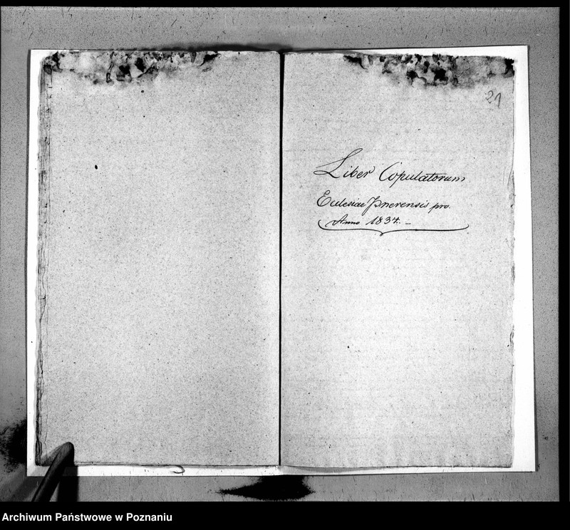 Obraz 14 z jednostki "Duplicat baptisatorum, copulatorum, mortuorum"