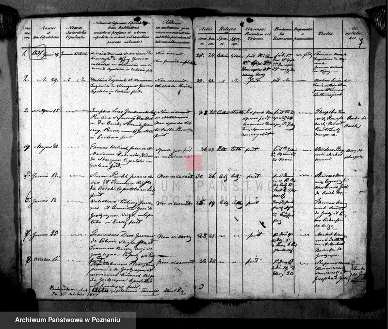 image.from.unit.number "Metrices copulatorum"