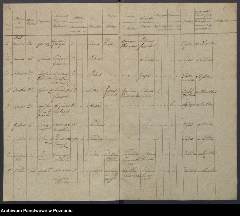 Obraz 6 z jednostki "Duplikat Natorum, Copulatorum, Mortuorum."