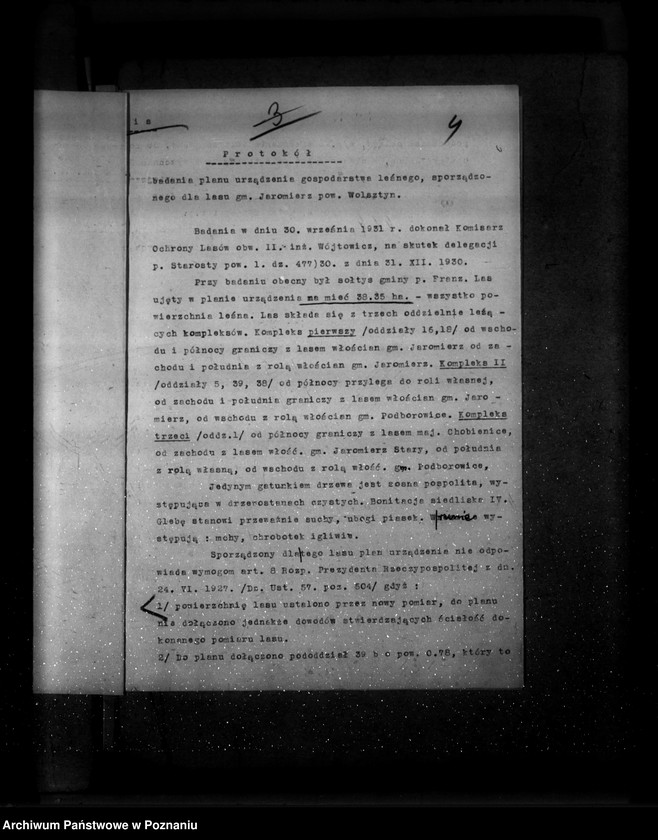 Obraz 9 z jednostki "Las gminy Jaromierz powiat wolsztyński"