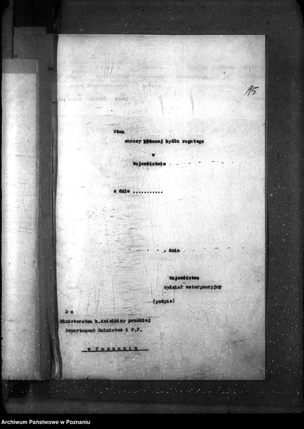 Obraz 19 z jednostki "Sprawy ogólne Wykazy chorób zaraźliwych; [księgosusz, zaraza płucna]"