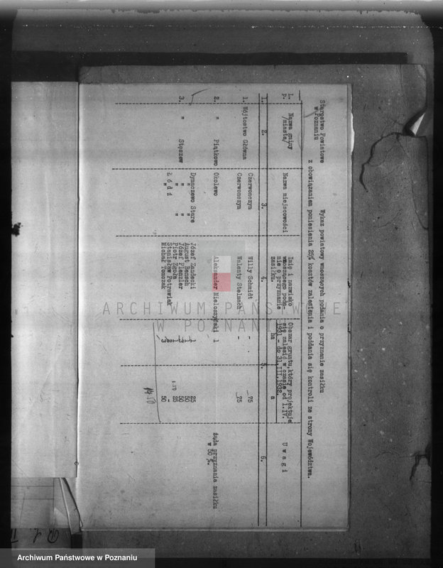 Obraz 9 z jednostki "Zalesienie nieużytków w powiecie poznańskim"
