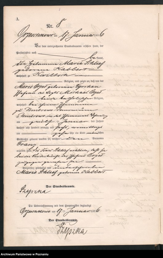 Obraz 11 z jednostki "Księga urodzeń"