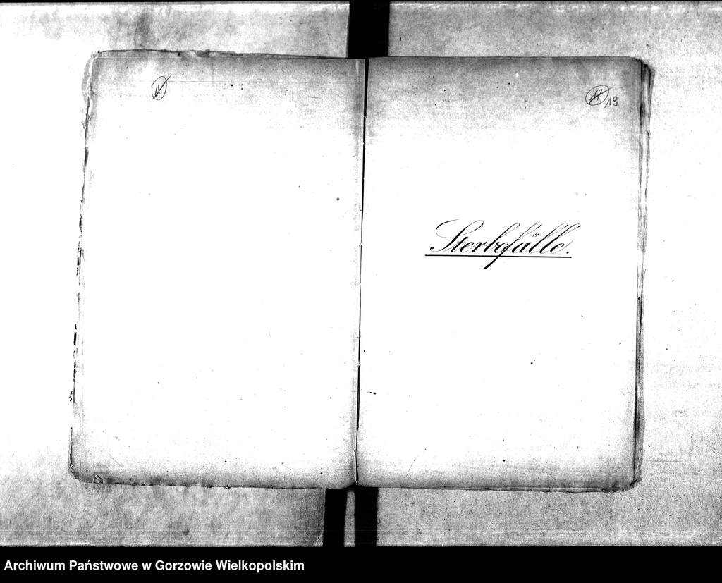 image.from.unit.number "Duplikate der Kirchenbücher von der Parochie Lorenzdorf (Wawrów) und Zechow (Czechów)"