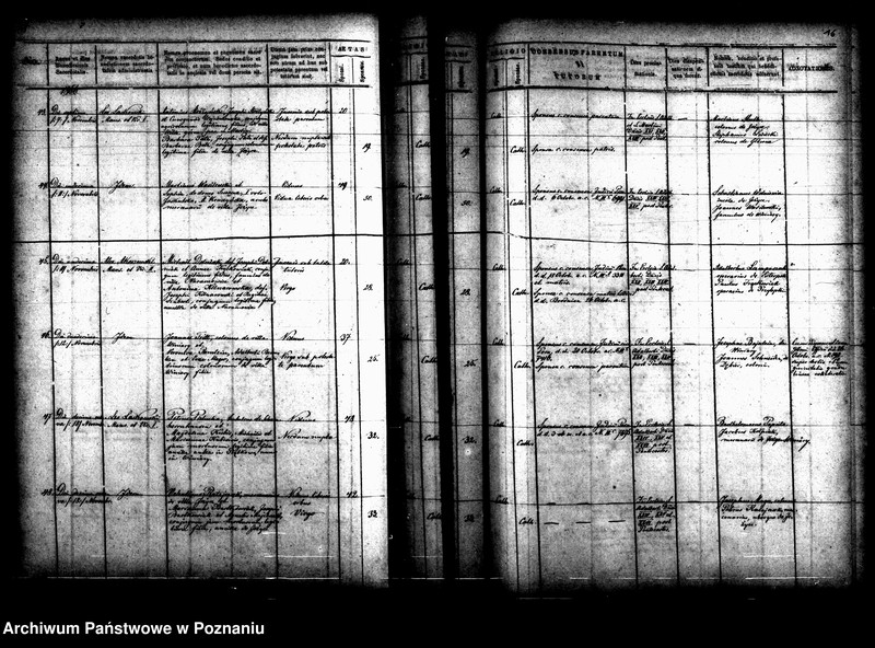 Obraz 13 z jednostki "Księga małżeństw"