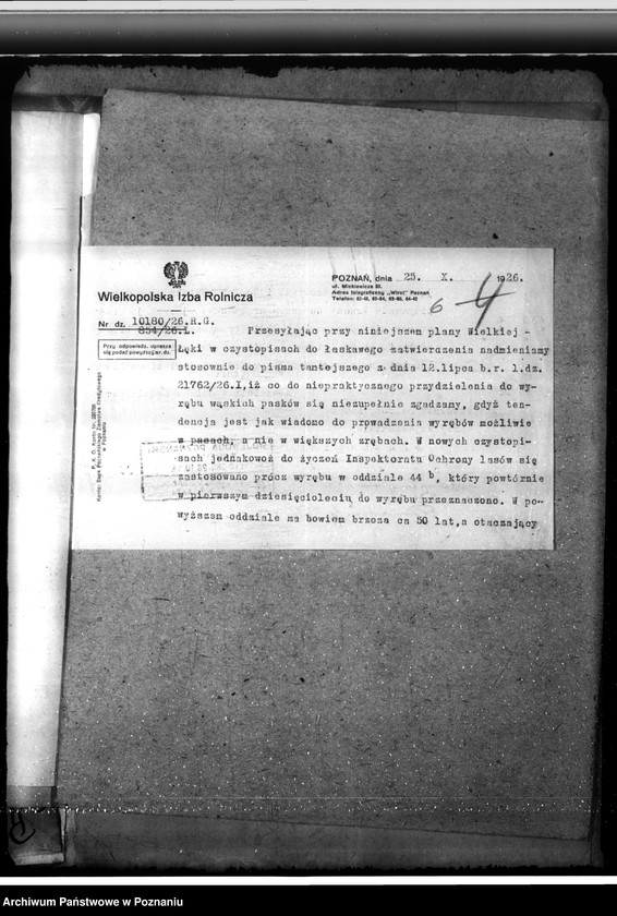 Obraz 10 z jednostki "Majętność leśna Łąka Wielka"