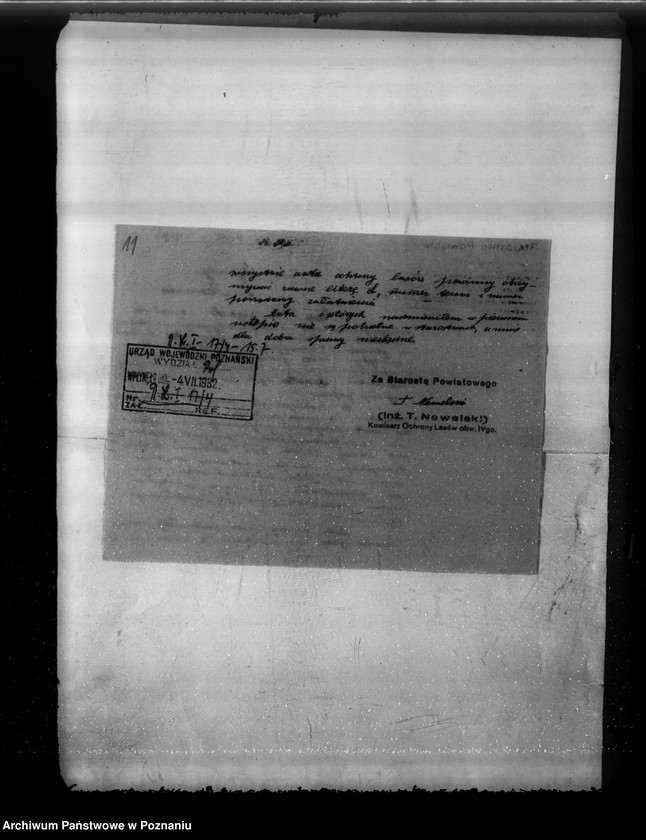 Obraz 15 z jednostki "Komisarze ochrony lasów"