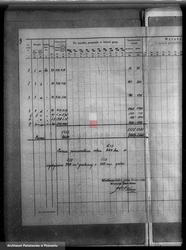 Obraz 13 z jednostki "Plan urządzenia gospodarstwa leśnego dla lasu majętności Grąblewo w powiecie nowotomyskim"