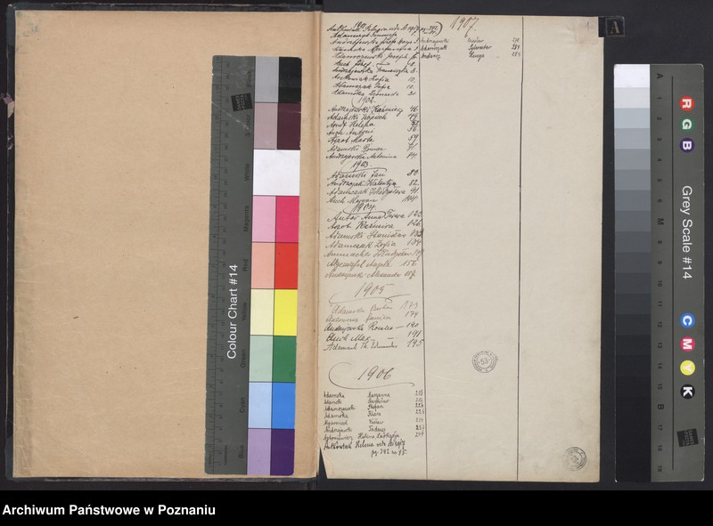 Obraz 3 z jednostki "Indeks urodzeń"